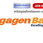 Wegagen Bank SC New Job Vacancy 2022