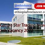 Gimba Star Trading New Job Vacancy 2022