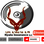 New job Niyala Insurance 2022