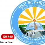 Bahir Dar University Job Vacancy 2022