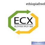 Ethiopia Commodity Exchange New Job Vacancy 2022