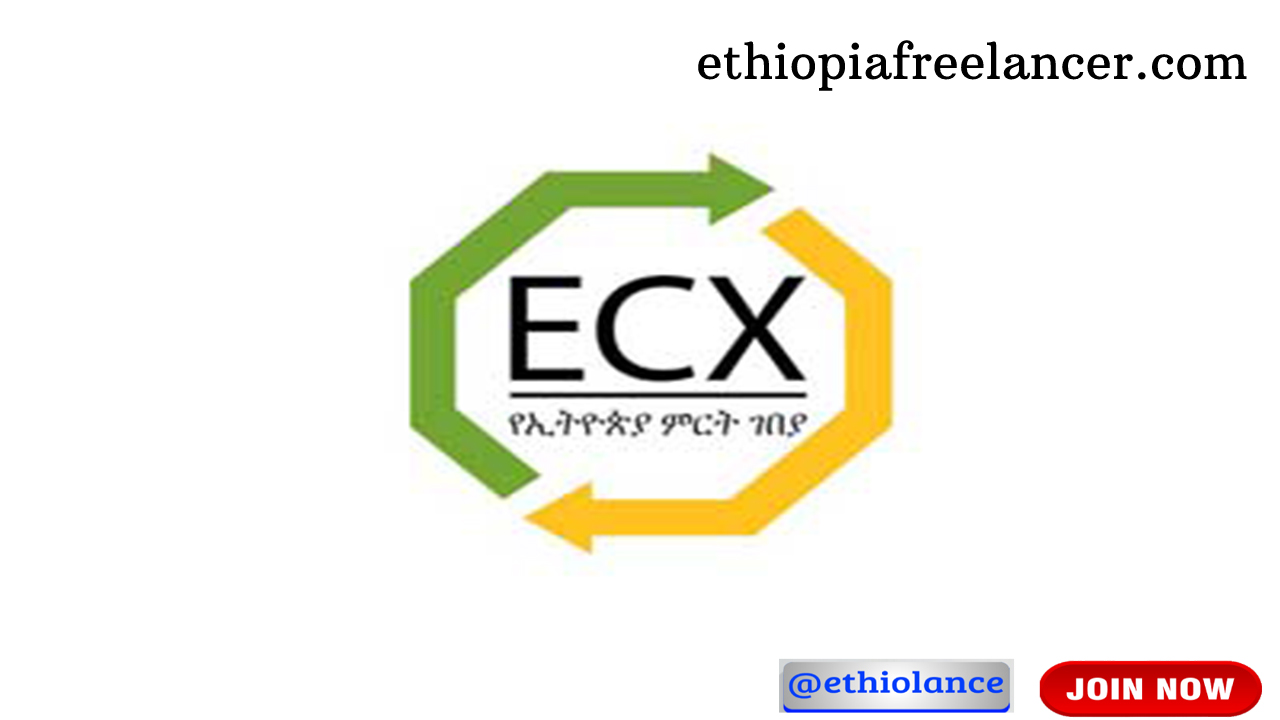 Ethiopia Commodity Exchange New Job Vacancy 2022