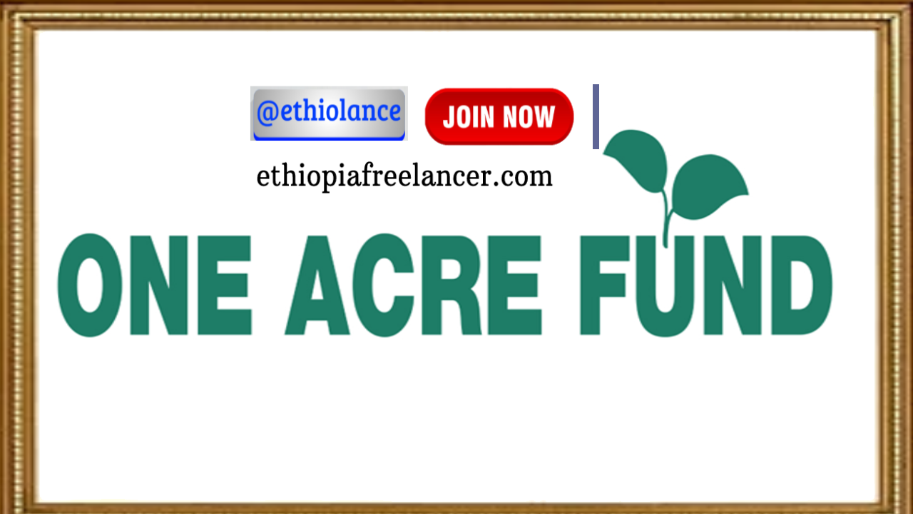 One Acre Fund Ethiopia Job Vacancy 2022 [Experienced Only]: A total of 01 “Tree Program Director” vacancies for Experienced only Candidates. Applicants must apply before April 30, 2022. The One Acre Fund Ethiopia is currently located at Addis Ababa.