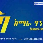 Amhara Bank New Job Vacancy 2022