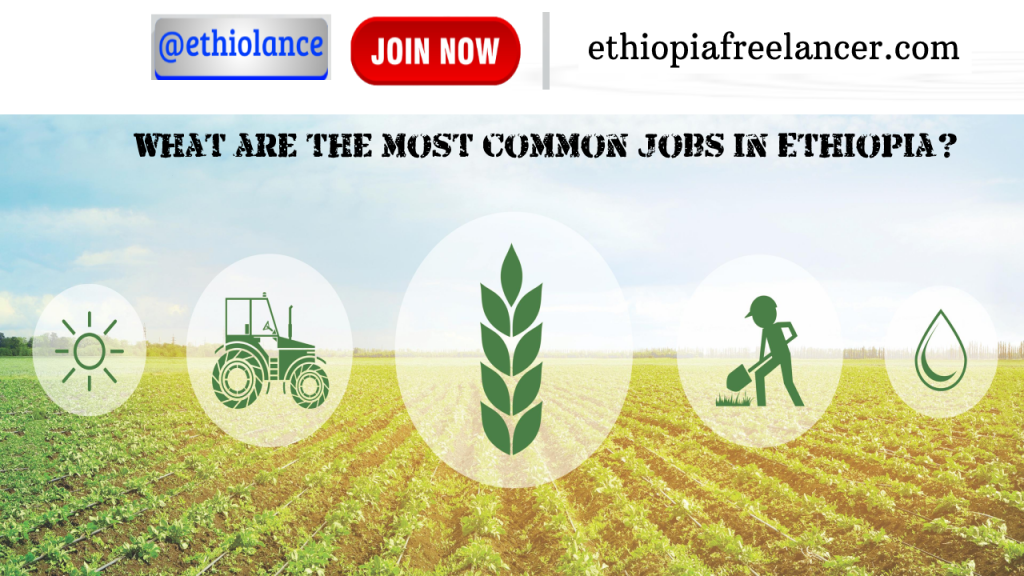 What are the most common jobs in Ethiopia?