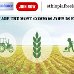 What are the most common jobs in Ethiopia?