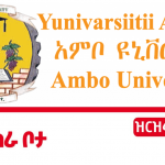 Ambo-university-new-job-vacancy-for-fresh-graduate