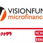 Vision fund microfinance